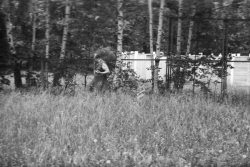 1981 год. 