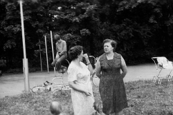 1981 год. Любовь Николаевна Тимощенко